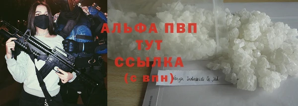 индика Верхний Тагил