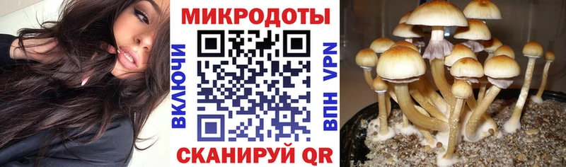 darknet состав  Комсомольск-на-Амуре  Галлюциногенные грибы Magic Shrooms 